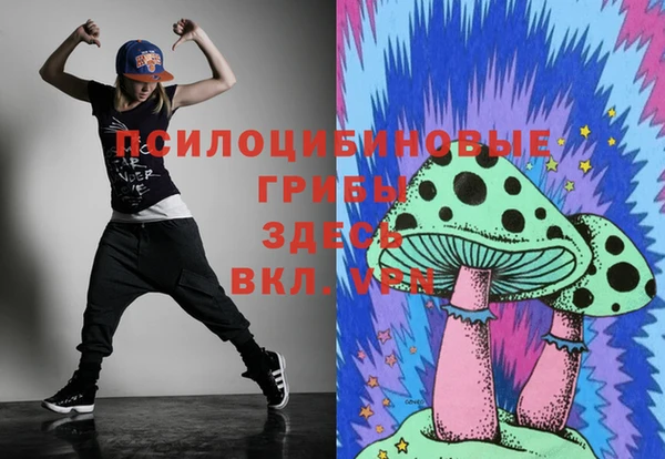 таблы Краснослободск